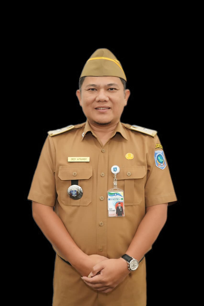 Dedy Apriandy SE, MM